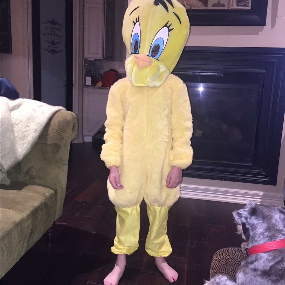 🐝🐝🐝SOLD 🐝🐝🐝.  Tweety Bird Kids Costume